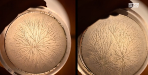 Fernsehbeiträge rbb Minute42 01-450px.png