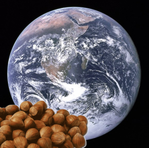 BlueMarbleHazelnuts-450.png